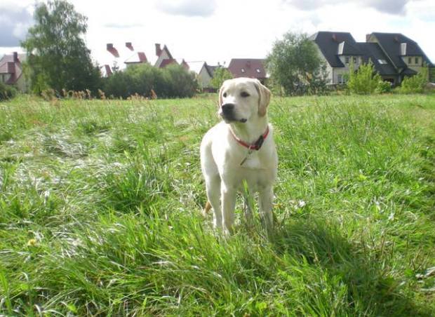 Arkadia, prawie 6 miesięcy