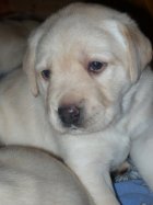 UT BROADWAY, 4 tygodnie