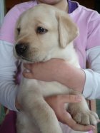 UT BROADWAY, 5 tygodni