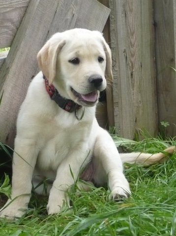 UT BEVERLY, 10 tygodni