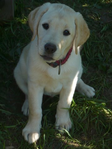 UT BEVERLY (Arkadia), 3 miesiące