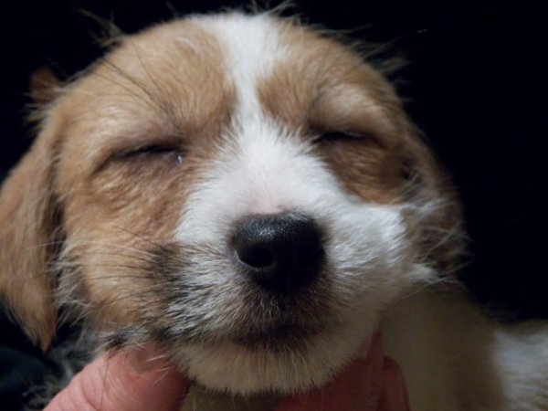 ORINOCO Linea Luna 2 miesiące