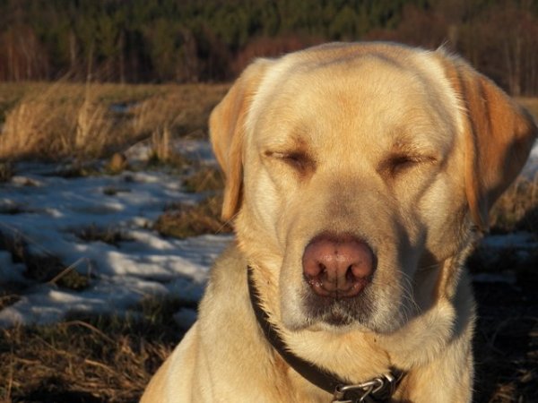 spacer grudzień 2013