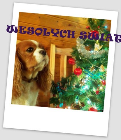 Wesołych Świąt!