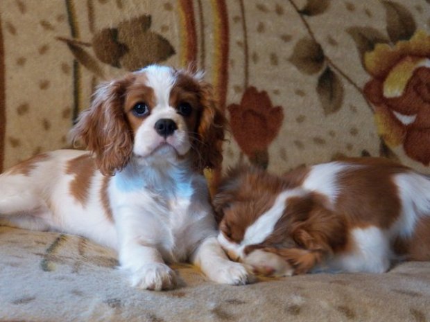 ostatnie zdjęcie z bratem