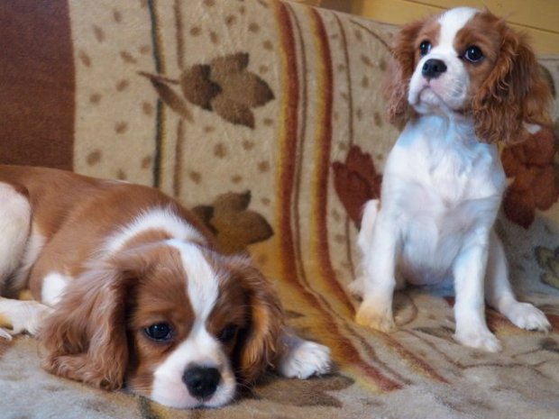 ostatnie zdjęcie z bratem