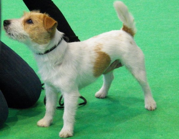 wystawa Rzeszów 15 II