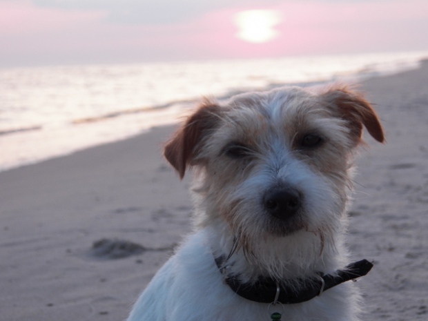 Nela i Alabama nad morzem