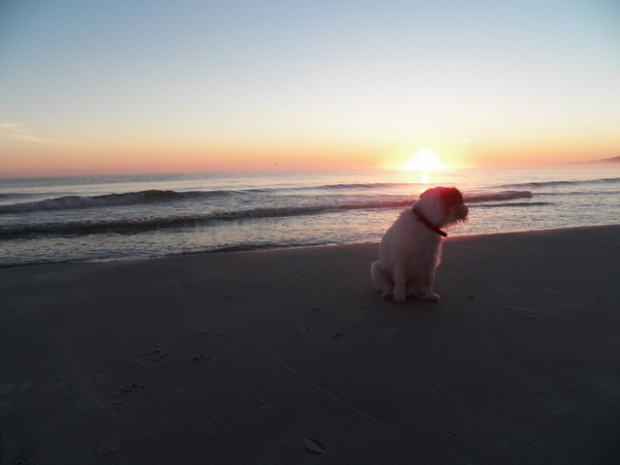 Nela i Alabama nad morzem