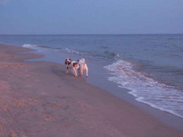 Nela i Alabama nad morzem