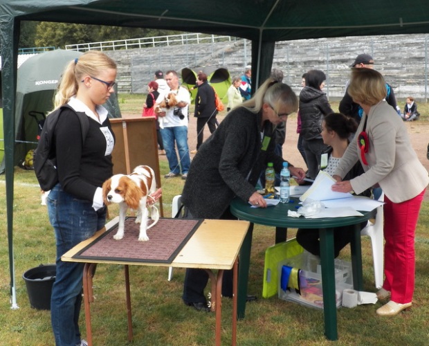 Wystawa Przemyśl 06.09.