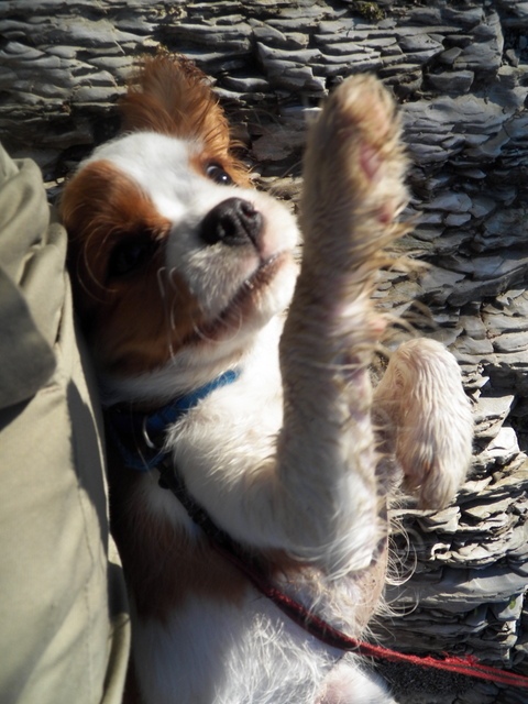 wycieranie po kąpieli