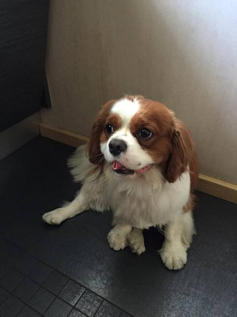 Dryf (United Tails East End) 2 lata