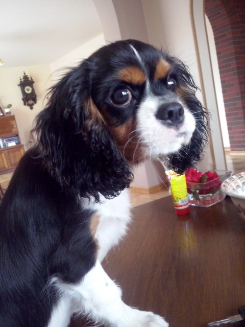 Abi (UT GOTHAM CITY) prawie 4 miesiące