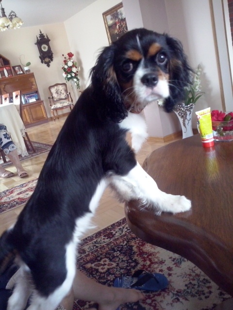 Abi (UT GOTHAM CITY) prawie 4 miesiące