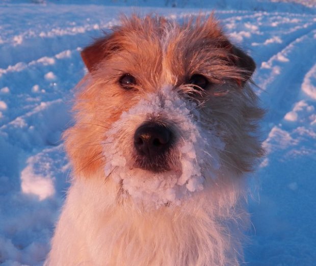 Nela (ORINOCO Linea Luna) 2 lata