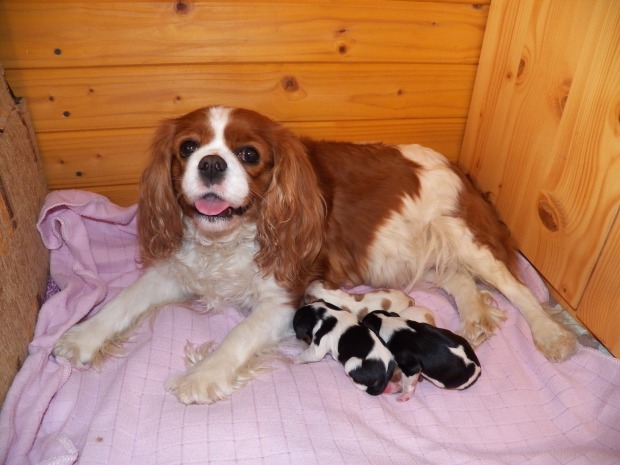 miot G z mamą - pierwszy dzień