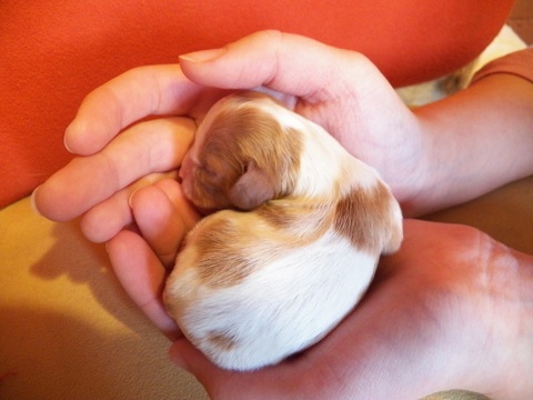 maleńka Tina - 3 dni