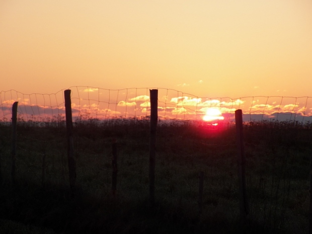 spacer, dział, 03.05