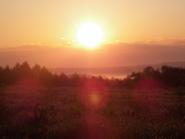 spacer, dział, 03.05