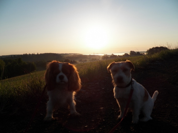 spacer, dział 10 maj