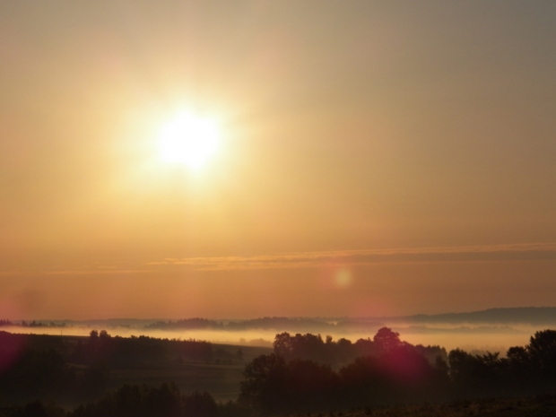 spacer, dział 10 maj