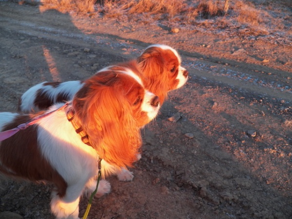 spacer sywester mama i córeczka