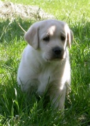 UT Arkansas, 6 tygodni