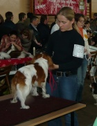 Jarosław, 15.03.2009