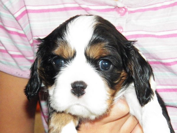 UT DENVER 1 miesiąc (zarezerwowany)